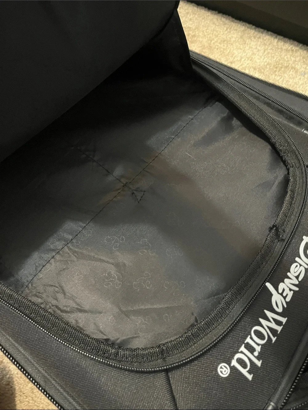 Walt Disney trademark luggage with 